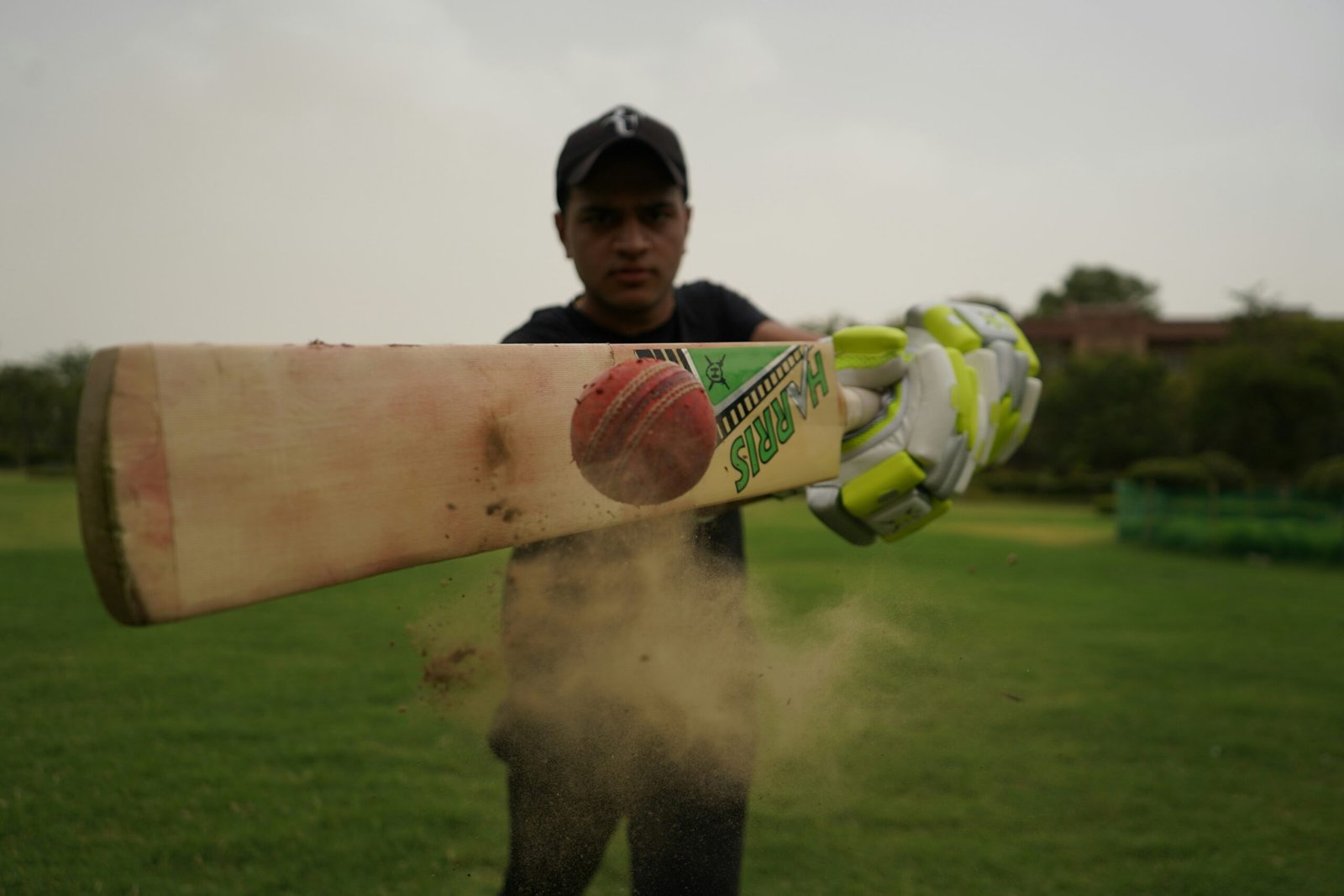 Zimbabwe National Cricket Team vs India National Cricket Team Players