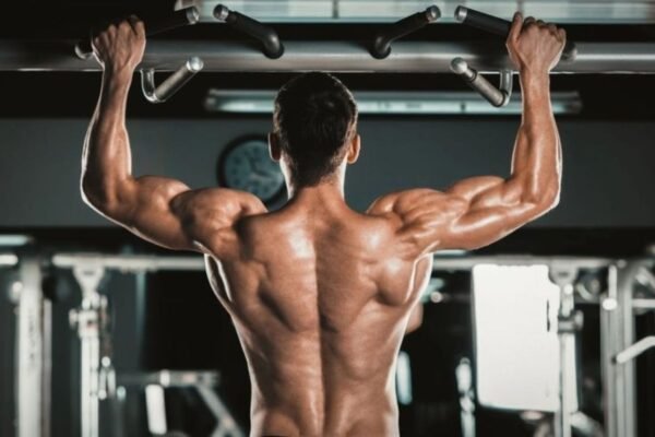 Wellhealth How to Build Muscle Tag