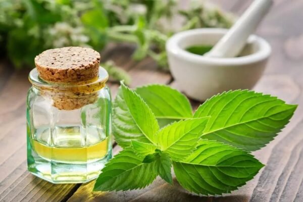 Mentha Oil Rate